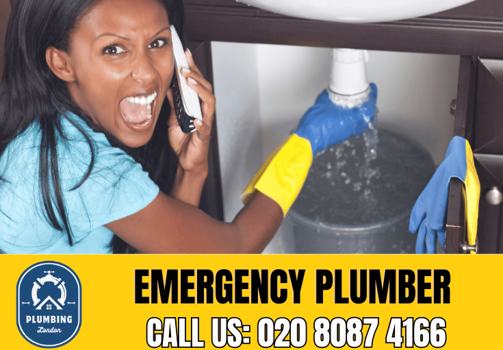 emergency plumber East Sheen