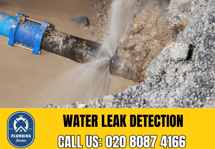 leak detection East Sheen